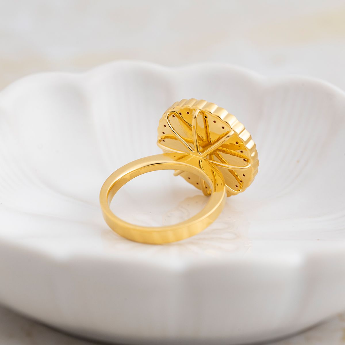 Amber-3 Image