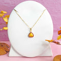 Amira-Set-2.bak Image