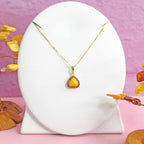 Amira-Set-2.bak Image