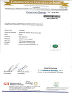 Emerald_Ring___Tasneem_BS__-1_page-0001
