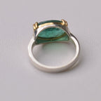 Rahil_Ring_1