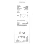 Untitled-2-1