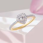 Lisa Ring image 1