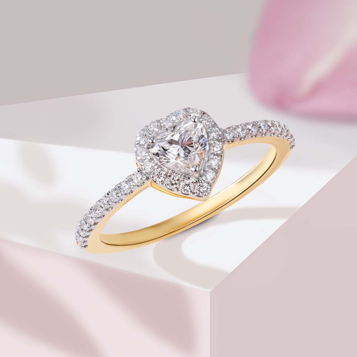 Lisa Ring image 1